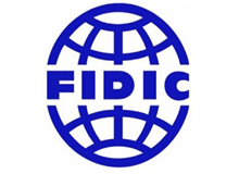 FIDIC合同条款在海外工程项目中的应用