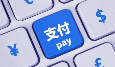 东道国政府对PPA支付义务的保障形式