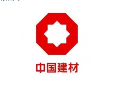 2020中国建材集团国际光伏国际发展先锋案例研究