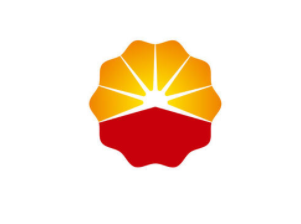 一文搞懂中国石油海外投资与工程建设业务!