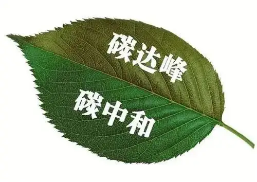 实现碳达峰碳中和的关键路径建议 