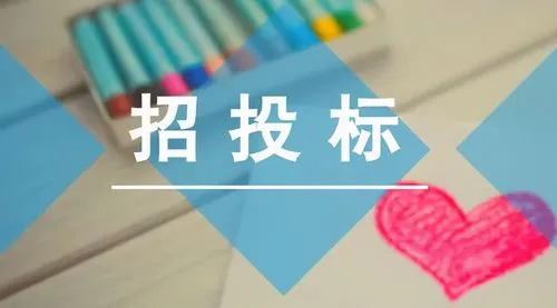 国际机电竞标项目的阶段性分析和总结