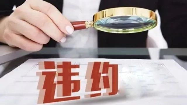 对于海外投资中的违约险的再思考