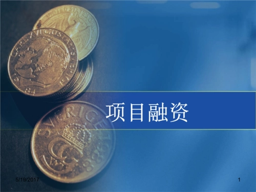 新兴市场的项目融资：影响项目成功的四个相关问题