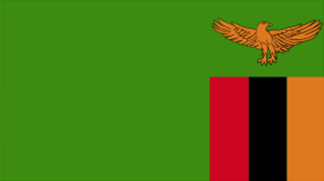 DkgL3UoYtH0q6Vb17lyIf8Qa5CnehwWB.jpg