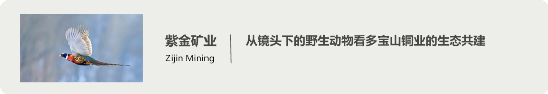 640?wx_fmt=other&from=appmsg&tp=webp&wxfrom=5&wx_lazy=1&wx_co=1